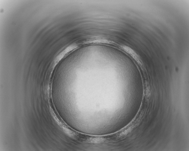 X0000087551282200705041318