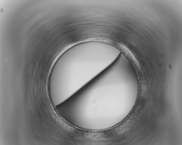 X0000087551284200705041318