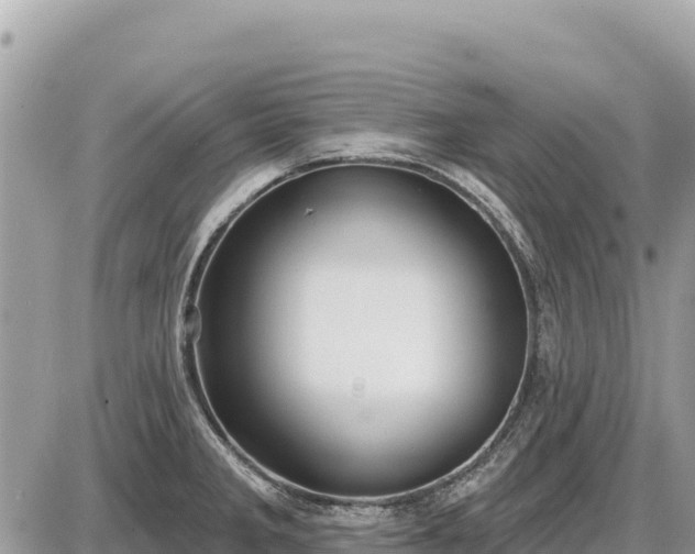 X0000087551285200705041318