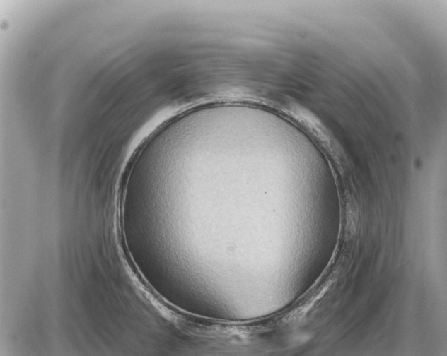 X0000087551286200705041318