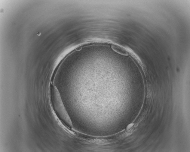 X0000087551287200705041318