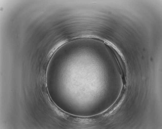 X0000087551289200705041318