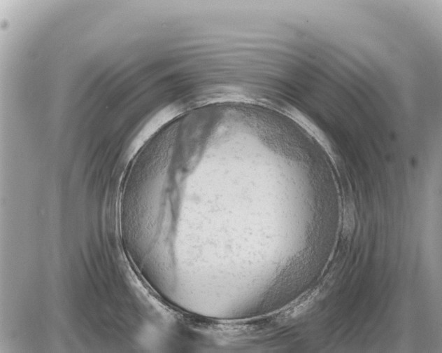 X0000087551290200705041318