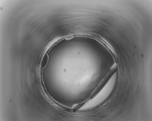 X0000087551291200705041318