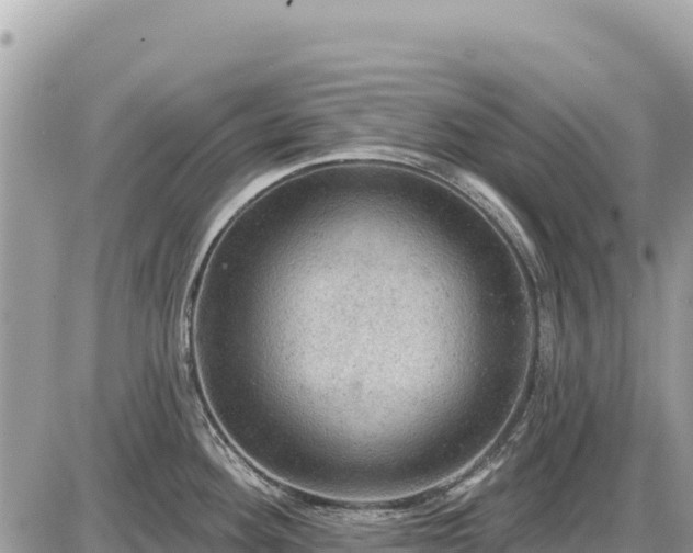 X0000087551292200705041318