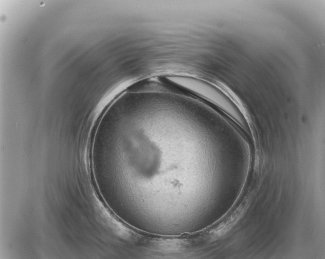 X0000087551293200705041318