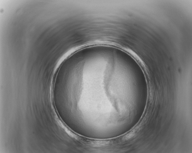 X0000087551294200705041318