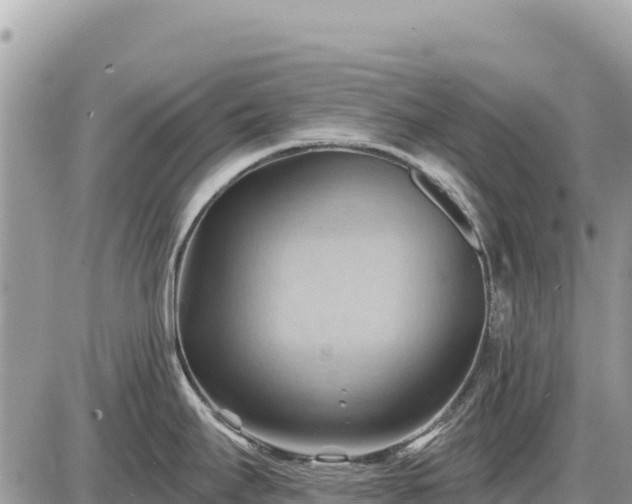 X0000087551295200705041318