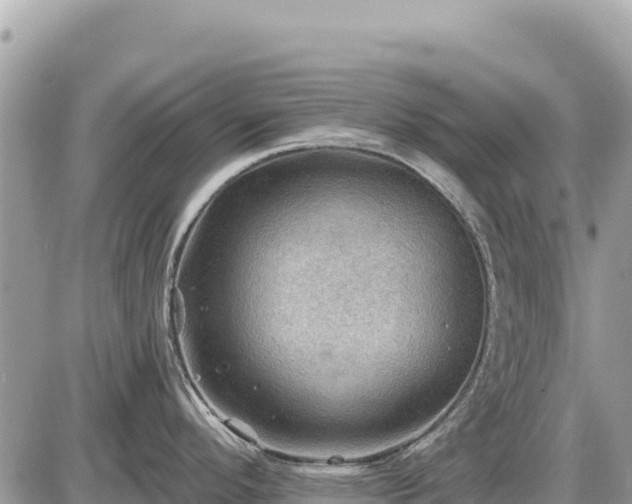 X0000087551296200705041318