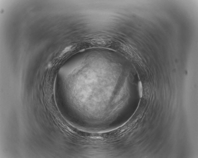 X0000087551297200705041317