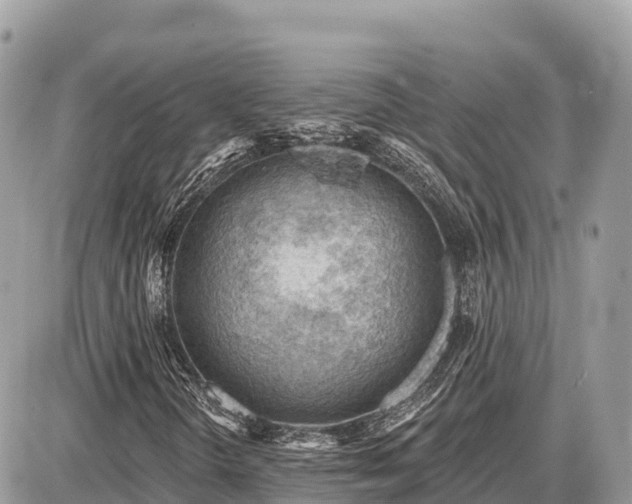 X0000087551298200705041317