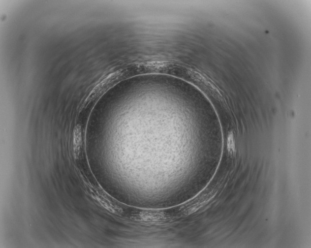 X0000087551299200705041318