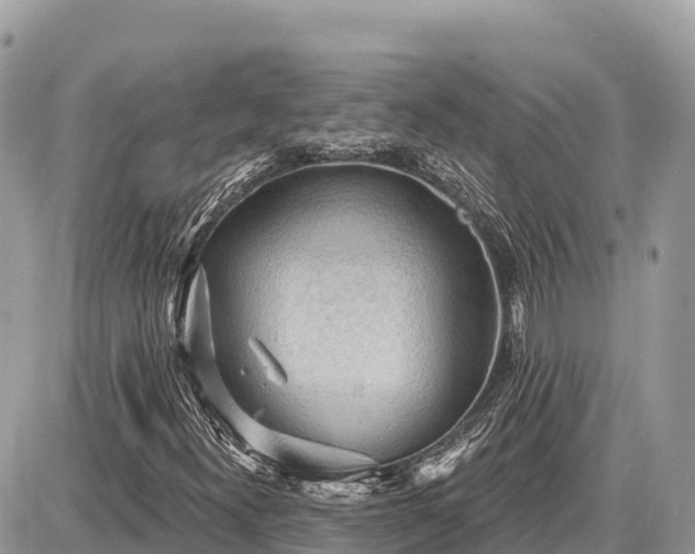 X0000087551300200705041318