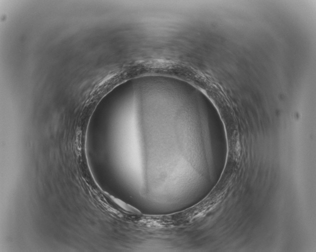 X0000087551301200705041318