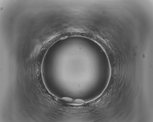 X0000087551303200705041318