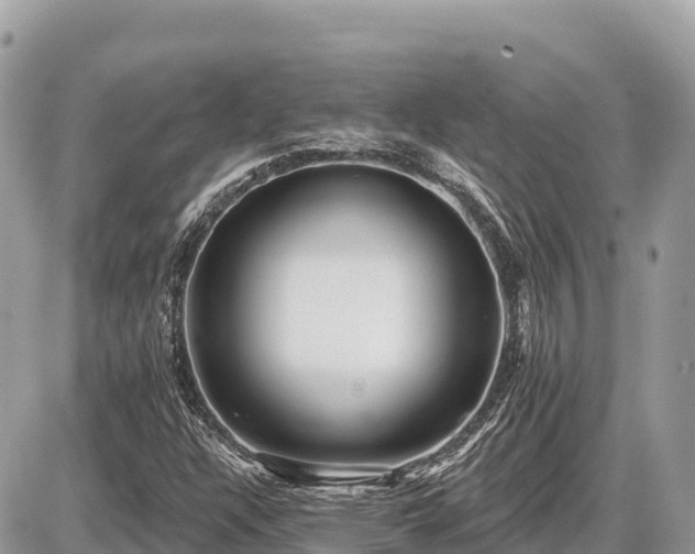 X0000087551304200705041318