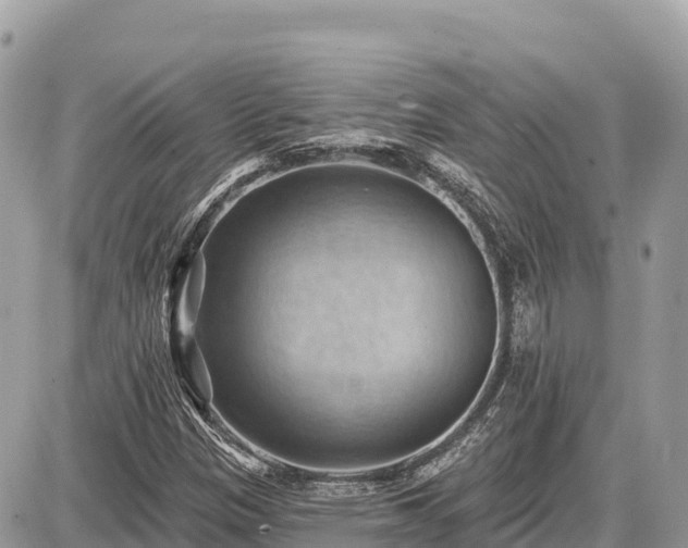 X0000087551305200705041318