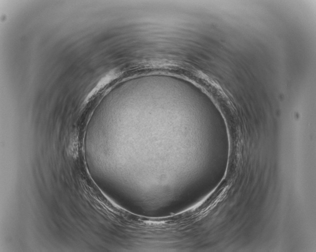 X0000087551306200705041318