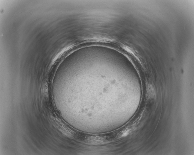 X0000087551307200705041318