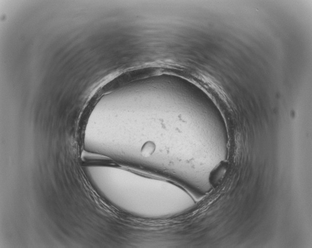 X0000087551308200705041318