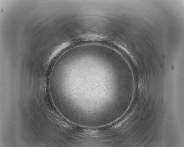 X0000087551309200705041318