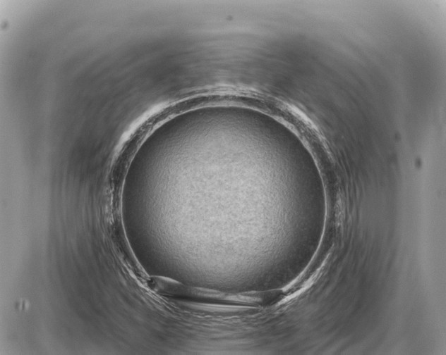 X0000087551310200705041318