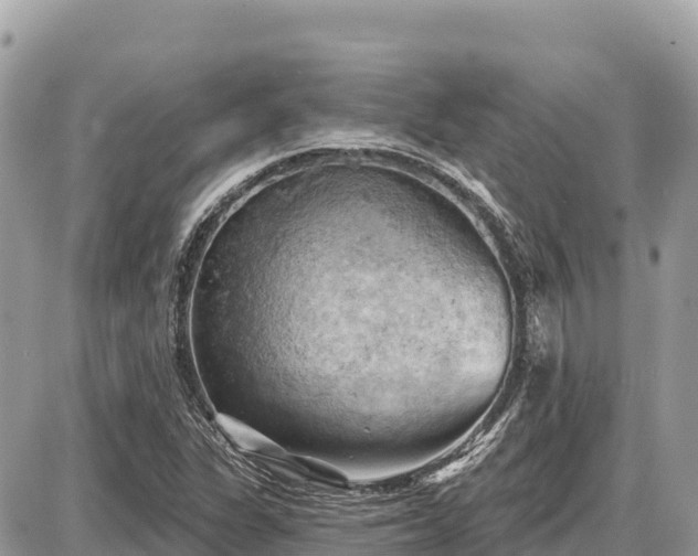 X0000087551311200705041318