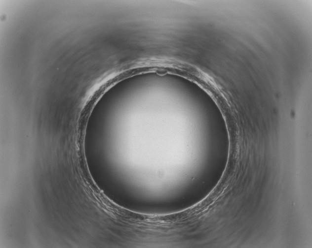 X0000087551312200705041318