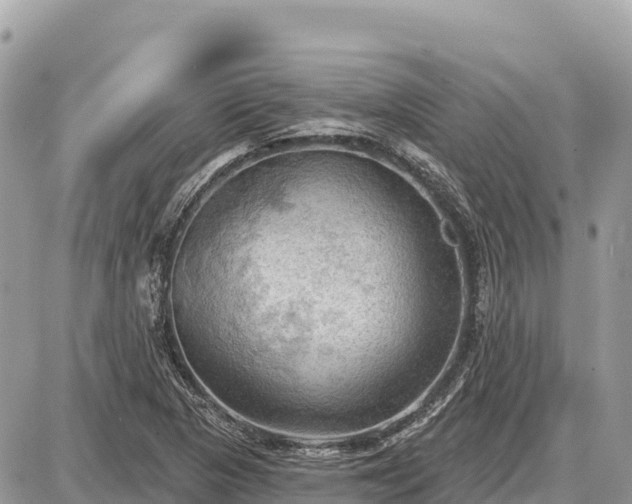 X0000087551313200705041318