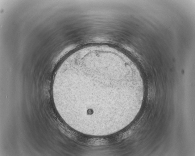 X0000087551314200705041318