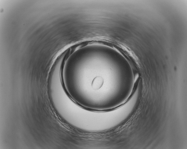 X0000087551316200705041318