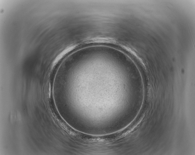 X0000087551317200705041318