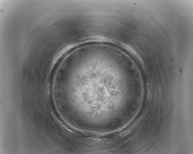 X0000087551318200705041318