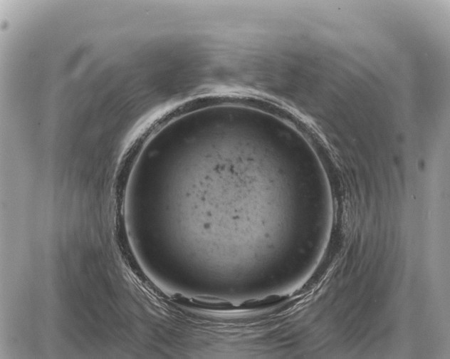 X0000087551319200705041318