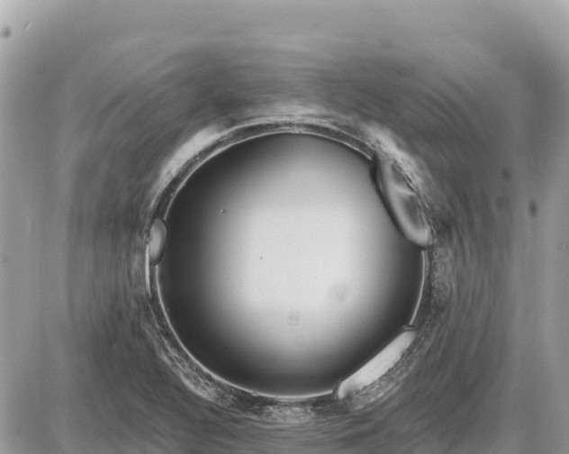 X0000087551320200705041318