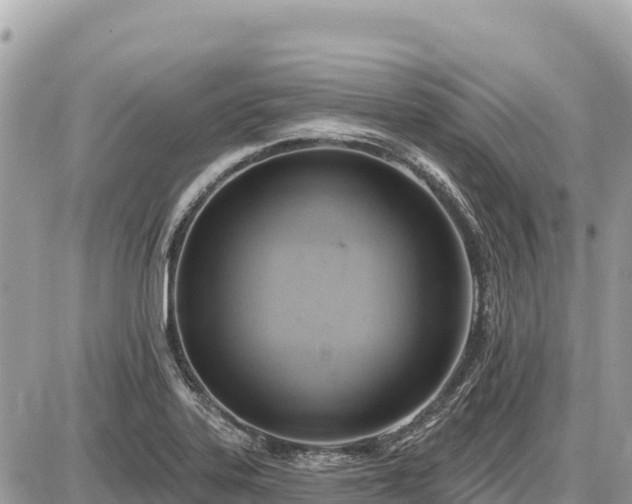 X0000087551323200705041318