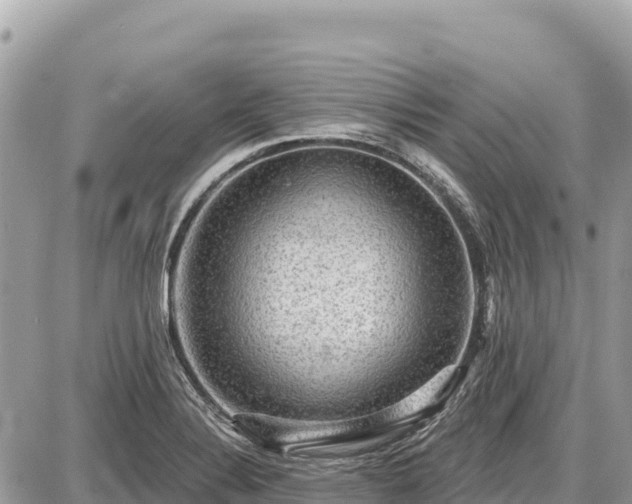 X0000087551324200705041318