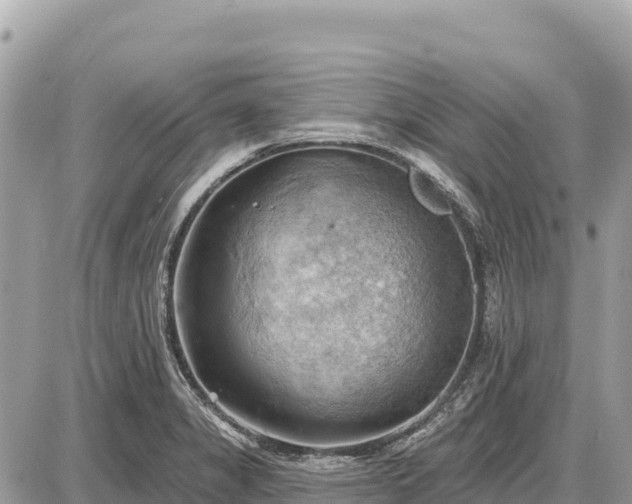 X0000087551325200705041318