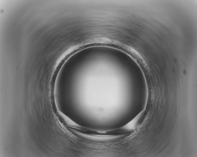 X0000087551326200705041318