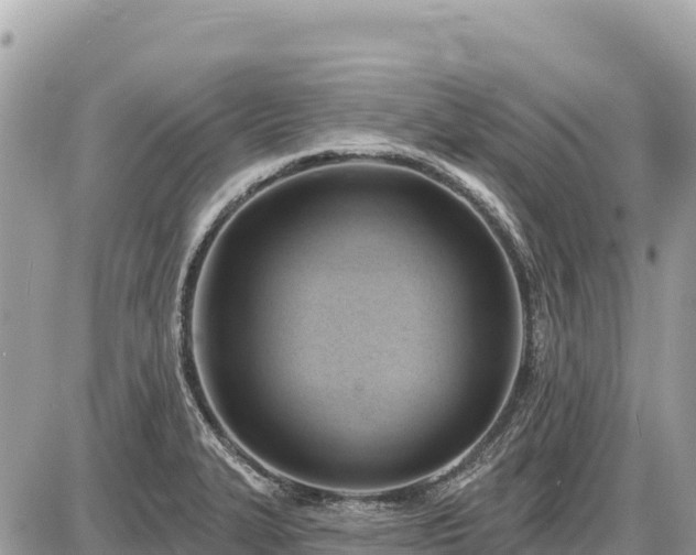 X0000087551327200705041318