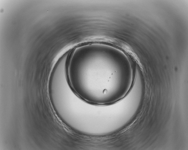 X0000087551328200705041318