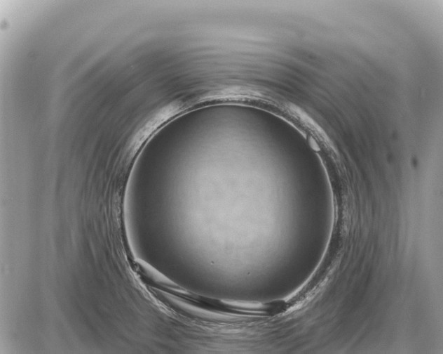 X0000087551329200705041318