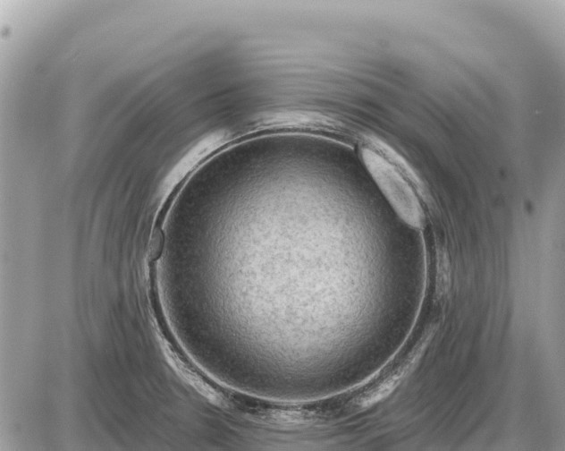 X0000087551330200705041318