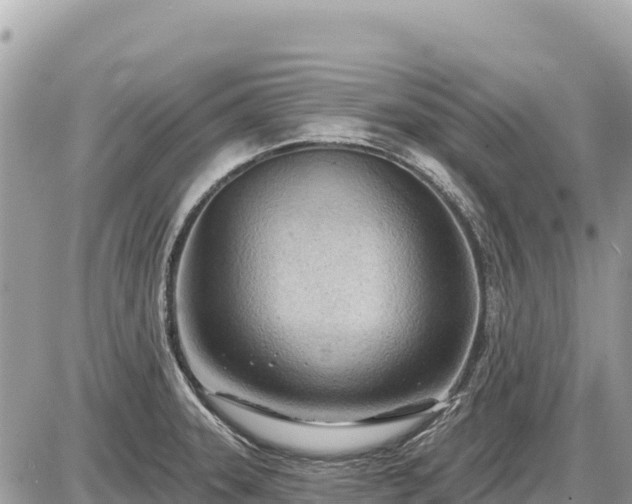 X0000087551331200705041318