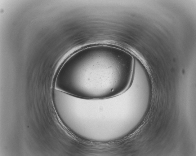 X0000087551332200705041318