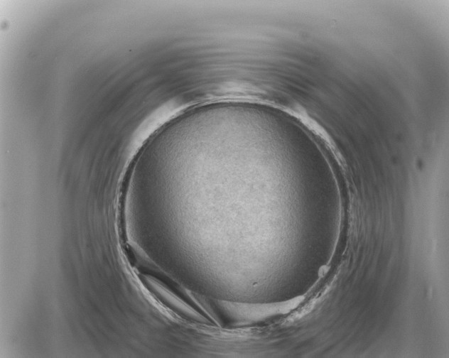 X0000087551333200705041318