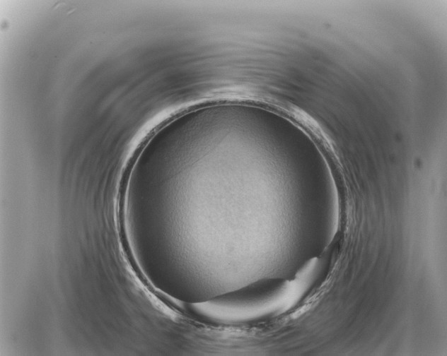 X0000087551334200705041318