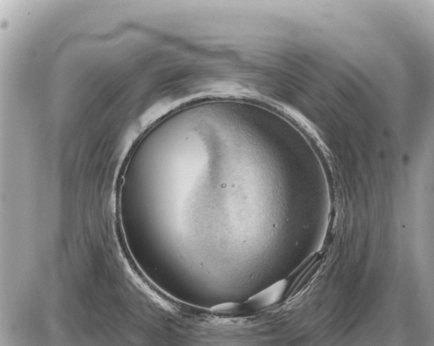 X0000087551335200705041318