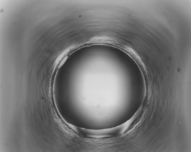 X0000087551336200705041318