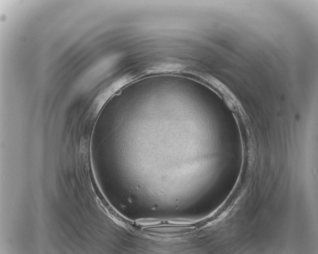 X0000087551337200705041318